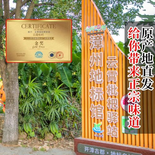 正宗云霄甜枇杷 5斤新鲜水果农家琵琶果福建漳州
