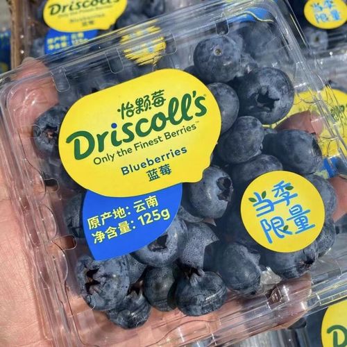 觅裕欢顺丰空运 云南怡颗莓driscolls蓝莓王 限量脆甜水果梅新鲜礼盒